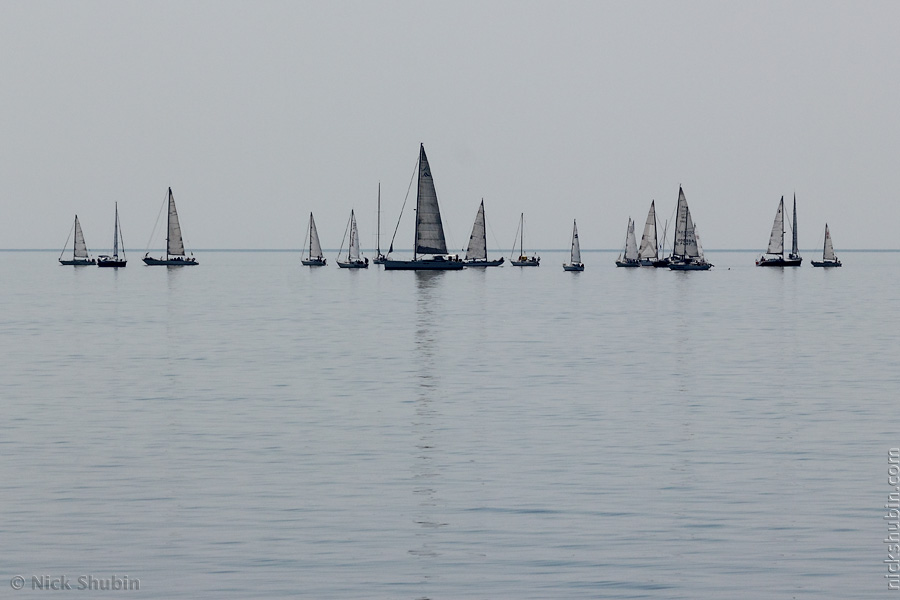 Regatta, Odessa