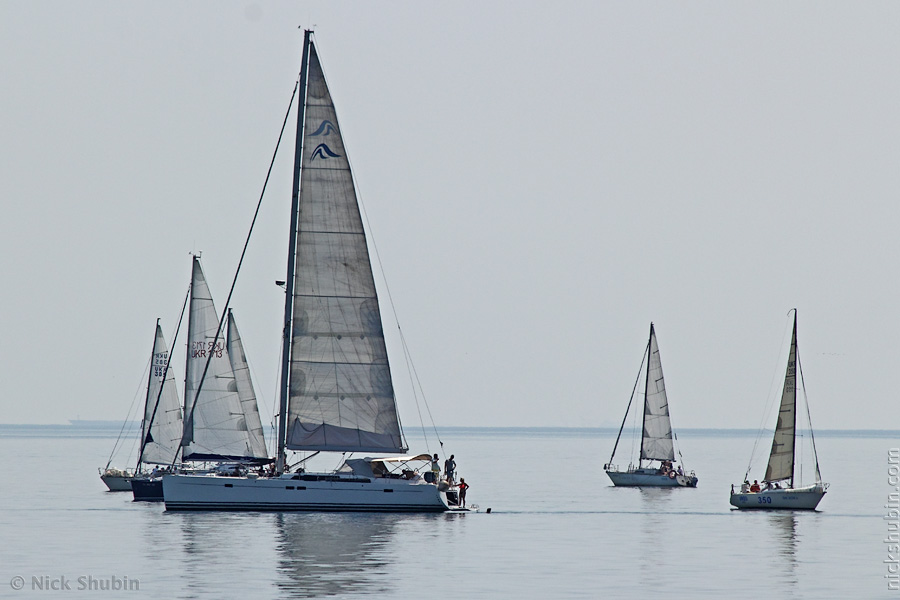 Regatta, Odessa