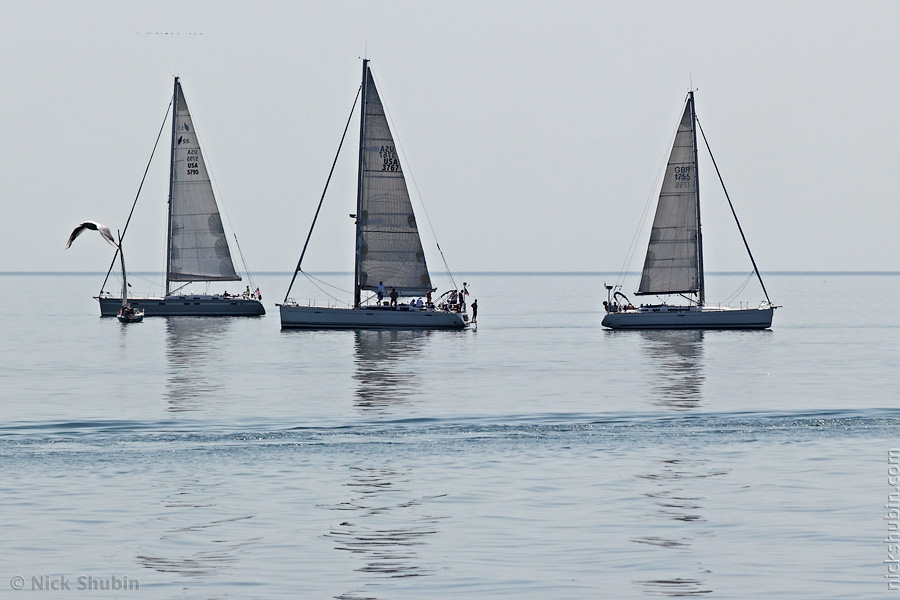 Regatta, Odessa