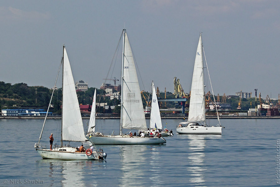 Regatta, Odessa