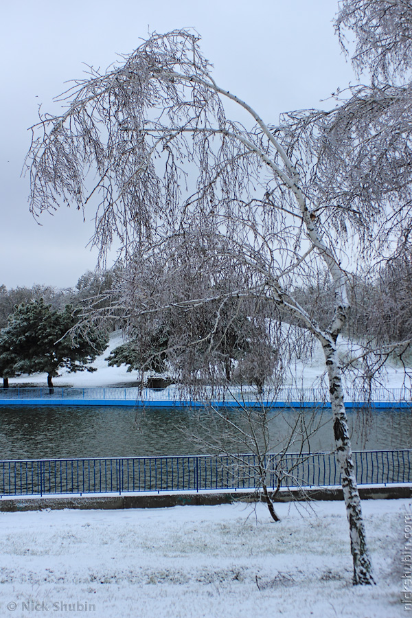 Winter in Odessa