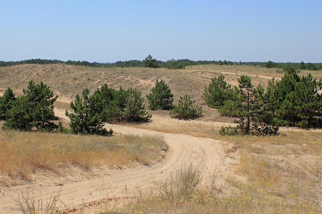 Kinburn Peninsula, July 2016