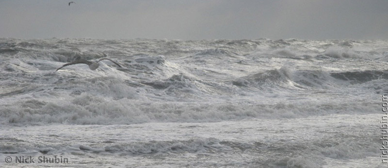 Winter Sea in Odessa, 2008