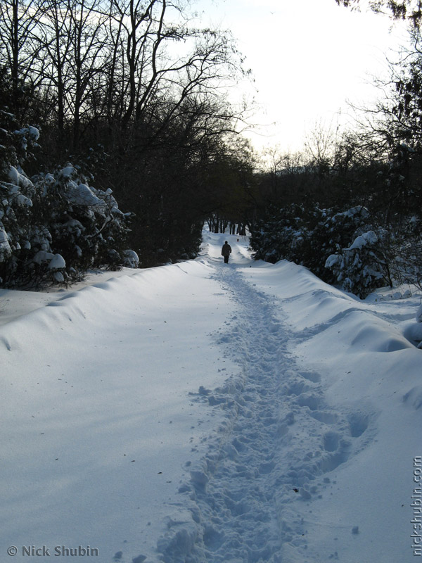 Snow in Odessa, 2009