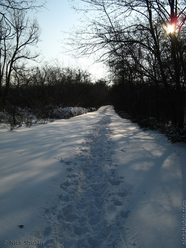 Snow in Odessa, 2009
