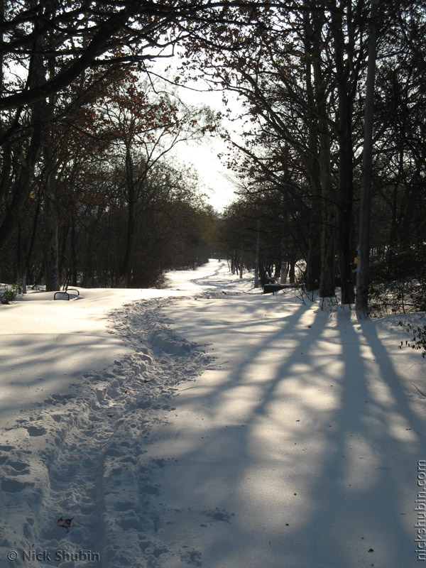 Snow in Odessa