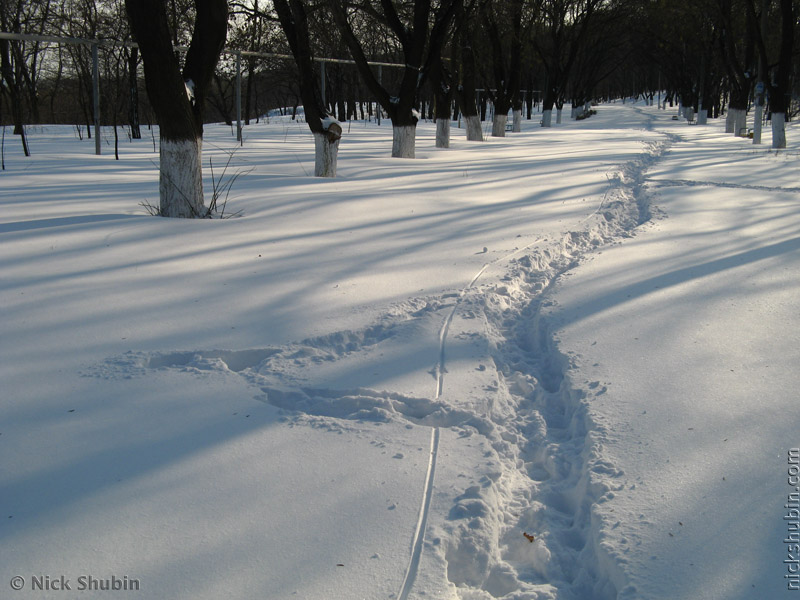 Snow in Odessa, 2009
