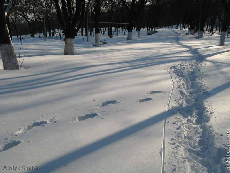 Snow in Odessa, 2009