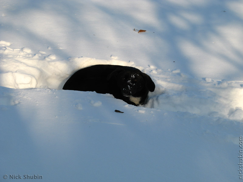 Snow in Odessa, 2009
