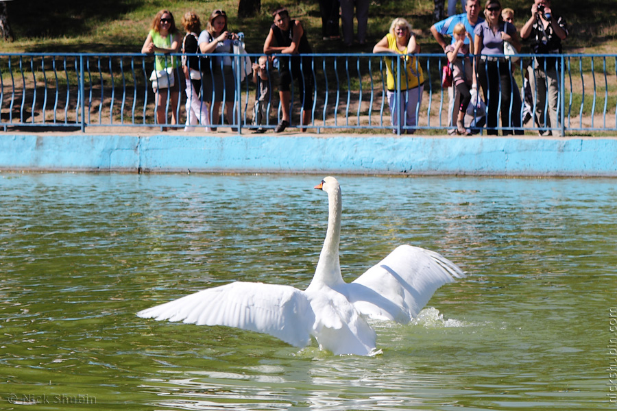 Odessa City Anniversary