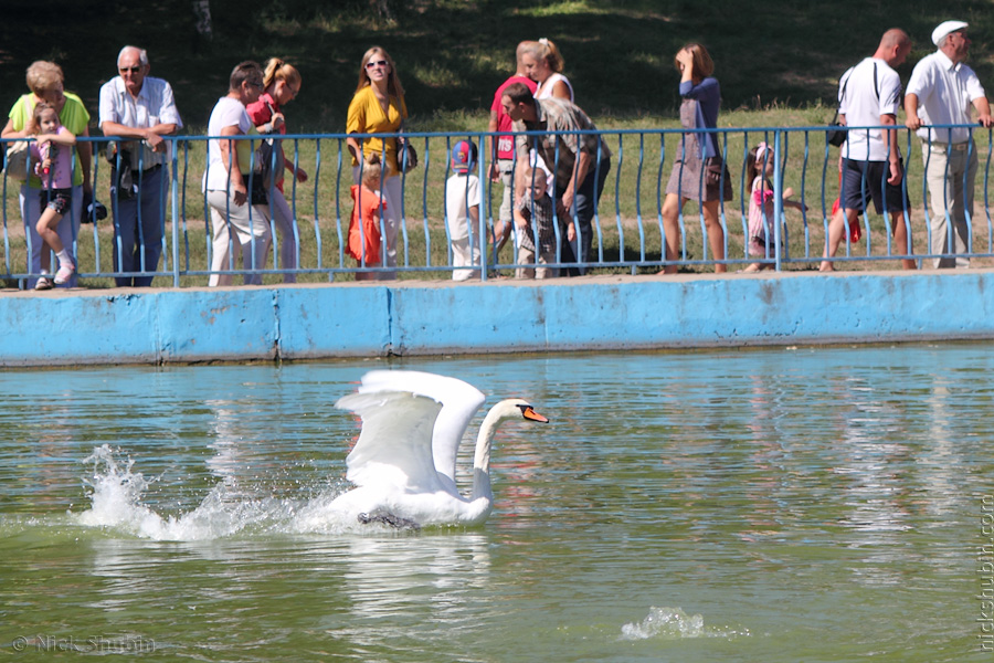 Odessa City Anniversary