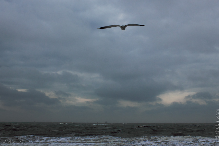 Sea storm, Odessa