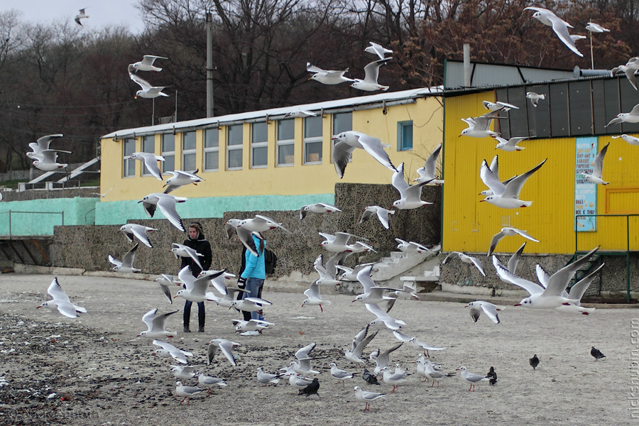 Sea storm, Odessa