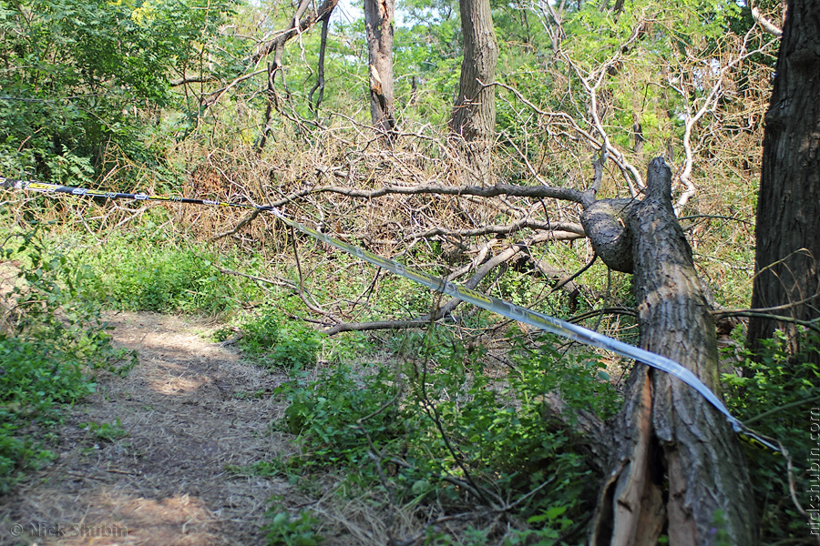 Mountain bike, Odessa
