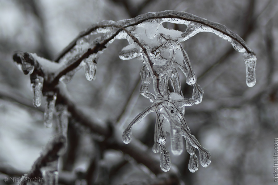 Winter in Odessa