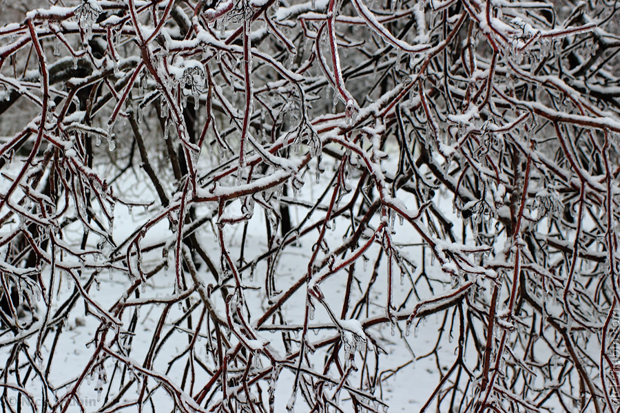 Winter in Odessa