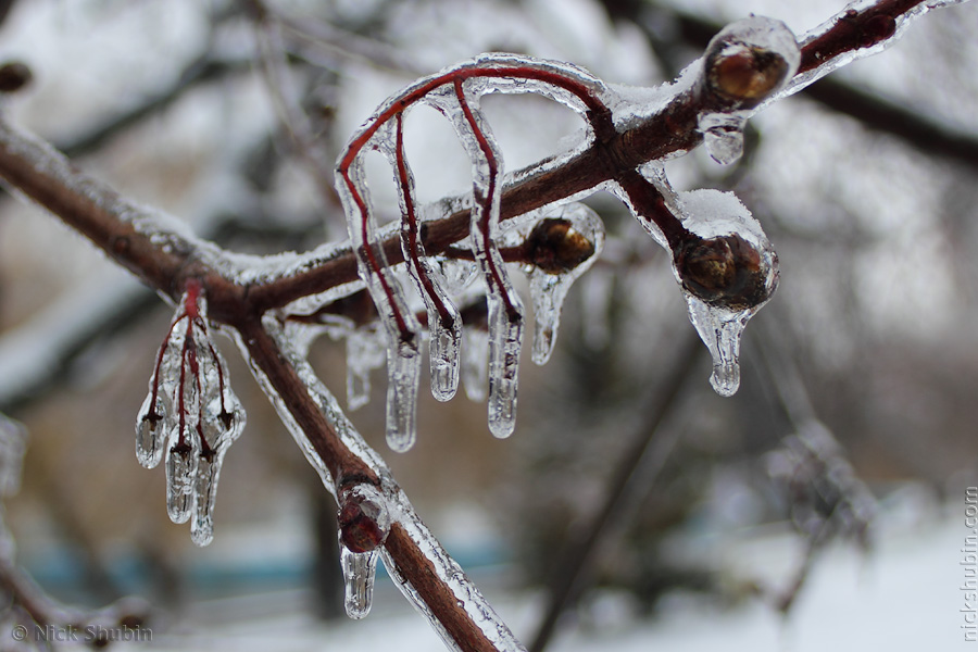 Winter in Odessa