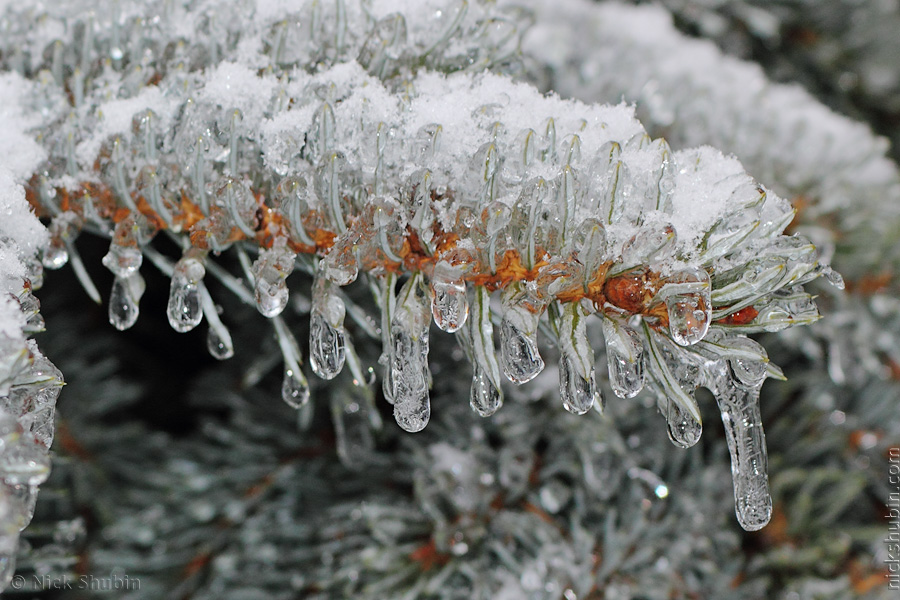 Winter in Odessa